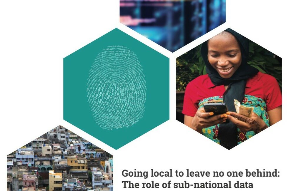 Going local to leave no one behind: The role of sub-national data
