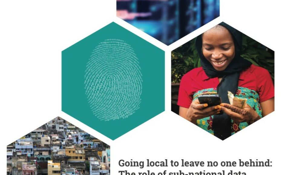 Going local to leave no one behind: The role of sub-national data